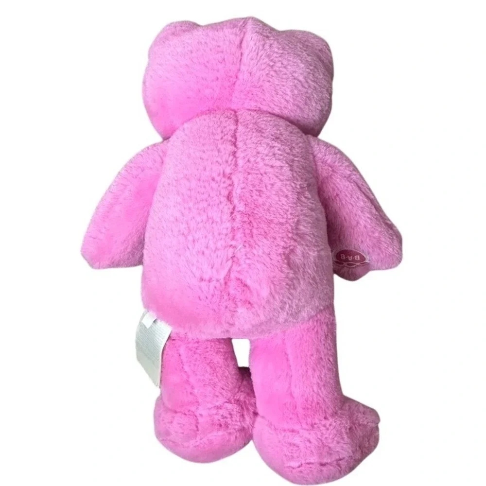 Build-A-Bear Workshop Spring Pink Frog Plush Stuffed Animal 2021 B-A-B 16 inch - Picture 4 of 7